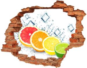 Nálepka 3D díra na zeď Citrusové ovoce nd-c-105914102