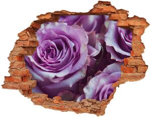 Fototapeta nálepka na zeď Fialové růže nd-c-106010688