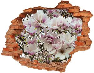 Samolepící nálepka fototapeta Květy magnolie nd-c-107287859