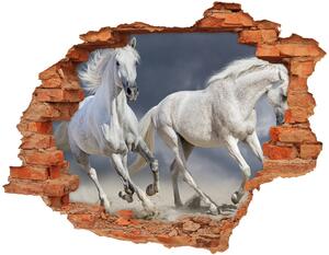 Díra 3D fototapeta na stěnu Bílí koně pláž nd-c-106869148