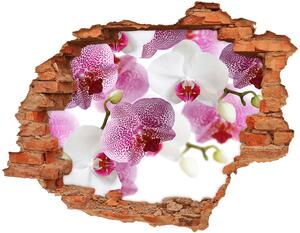 Fototapeta nálepka na zeď Fototapeta orchidej nd-c-107506962