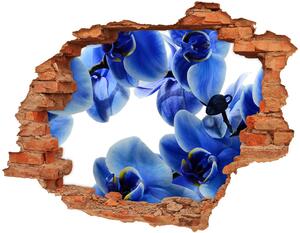 Fototapeta nálepka na zeď Modrá orchidej nd-c-108719239