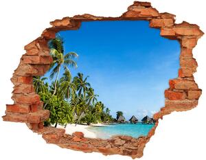 Díra 3D ve zdi nálepka Pláš Karibské ostrovy nd-c-112295720