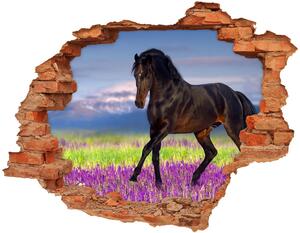 Fototapeta díra na zeď Kůň na poli levandule nd-c-113343357