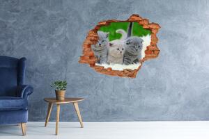 Díra 3D fototapeta nálepka Tři kočky na dece nd-c-112670236