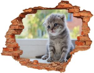 Díra 3D fototapeta na stěnu Malá kočka u okna nd-c-114401117