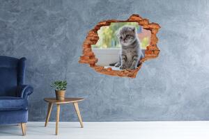 Díra 3D fototapeta na stěnu Malá kočka u okna nd-c-114401117