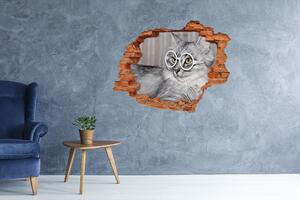 Díra 3D fototapeta nálepka Kočka v brýlích nd-c-115959381