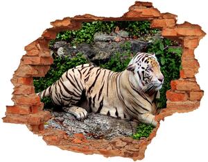 Fototapeta díra na zeď Tygr na skále nd-c-118161704