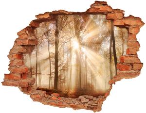 Díra 3D ve zdi nálepka Mlha v lese podzim nd-c-119225469