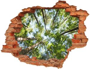 Díra 3D ve zdi na stěnu Koruna stromů nd-c-119047799