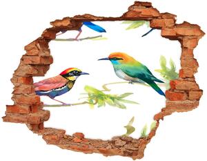 Díra 3D fototapeta na stěnu Egzotičtí ptáci nd-c-119482141