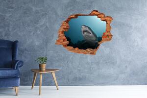 Díra 3D fototapeta nálepka Velký žralok nd-c-120086004