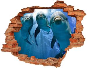 Díra 3D fototapeta na stěnu Tři delfíni nd-c-119968160