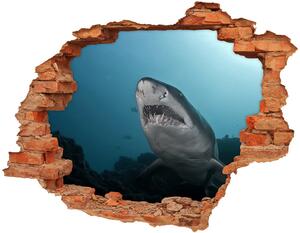 Díra 3D fototapeta nálepka Velký žralok nd-c-120086004