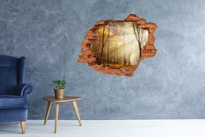 Díra 3D ve zdi na stěnu Mlha v lese nd-c-120624836