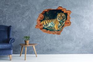 Díra 3D fototapeta nálepka Tygr v jeskyni nd-c-121530926