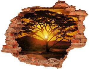 Díra 3D ve zdi nálepka Západ slunce Afrika nd-c-12172283