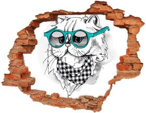 Díra 3D fototapeta nálepka Kočka v brýlích nd-c-121703839