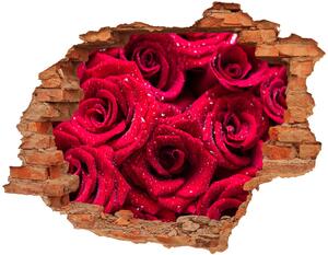 Samolepící nálepka na zeď Kapky na růžích nd-c-122317792