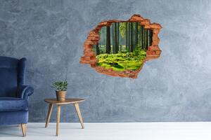 Díra 3D ve zdi na stěnu Smrkový les nd-c-124579847