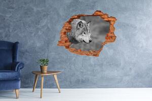 Díra 3D fototapeta na stěnu Šedý vlk nd-c-125421387