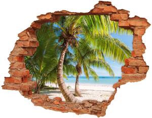 Díra 3D ve zdi na stěnu Tropická pláž nd-c-126132906