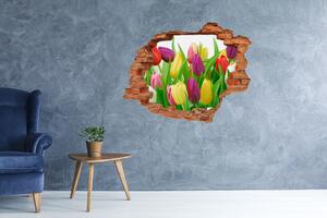 Samolepící nálepka na zeď Barevné tulipány nd-c-12652067