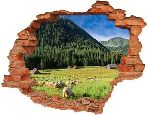 Díra 3D ve zdi na stěnu Ovce v Tatrách nd-c-127508967