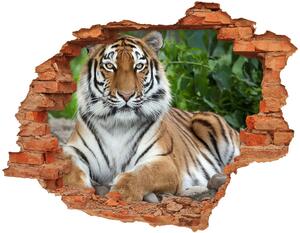 Díra 3D fototapeta nálepka Sibiřský tygr nd-c-129133169