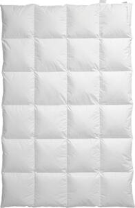 PÉŘOVÁ PŘIKRÝVKA, 135/200 cm, peří, prachové peří Centa-Star - Přikrývky, Online Only