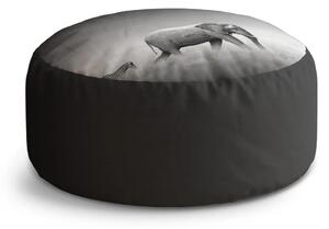 Sablio Taburet Circle Slon a zebra: 38x48 cm