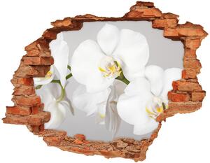Samolepící nálepka na zeď Orchidej nd-c-133396361