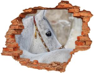 Díra 3D fototapeta nálepka Bílý arabský kůň nd-c-143185113