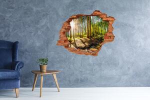 Díra 3D ve zdi na stěnu Panorama les nd-c-145813283
