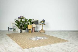 Lalee Kusový koberec Amira 202 Beige Rozměr koberce: 120 x 170 cm