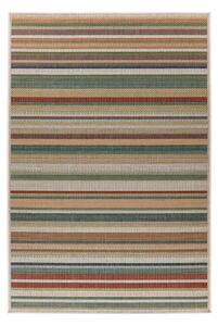Lalee Kusový koberec Capri 304 Multi Rozměr koberce: 200 x 290 cm