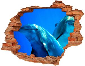 Díra 3D fototapeta nástěnná Dva delfíni nd-c-16277956