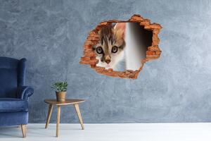Díra 3D fototapeta nástěnná Nálepka malá kočka nd-c-162385240