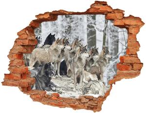 Díra 3D fototapeta nástěnná Nálepka vlci zimou nd-c-171243935