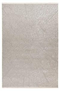 Lalee Kusový koberec Elif 403 Silver Rozměr koberce: 160 x 230 cm