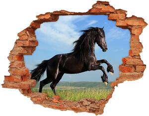 Díra 3D fototapeta na stěnu Černý kůň na louce nd-c-26473191