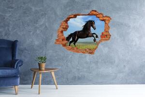 Díra 3D fototapeta na stěnu Černý kůň na louce nd-c-26473191