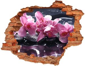 Samolepící nálepka na zeď Růžová orchidej nd-c-28903356