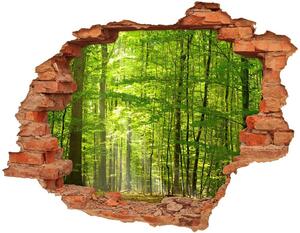 Díra 3D ve zdi na stěnu Listnatý les nd-c-31250020