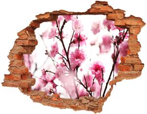 Samolepící nálepka na zeď Květ švestky nd-c-39695917