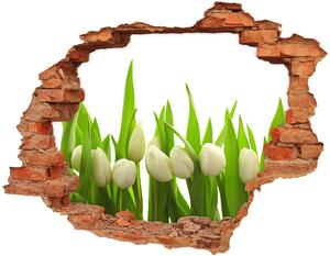 Samolepící nálepka na zeď Bílé tulipány nd-c-40774643