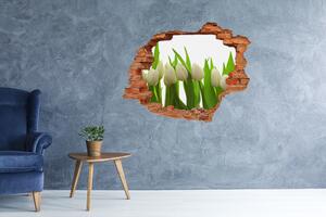 Samolepící nálepka na zeď Bílé tulipány nd-c-40774671