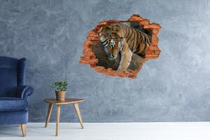 Díra 3D fototapeta nálepka Tygr na stromě nd-c-4289086