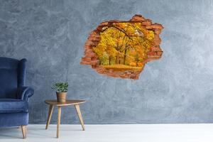 Díra 3D ve zdi nálepka Podzim v parku nd-c-43414176